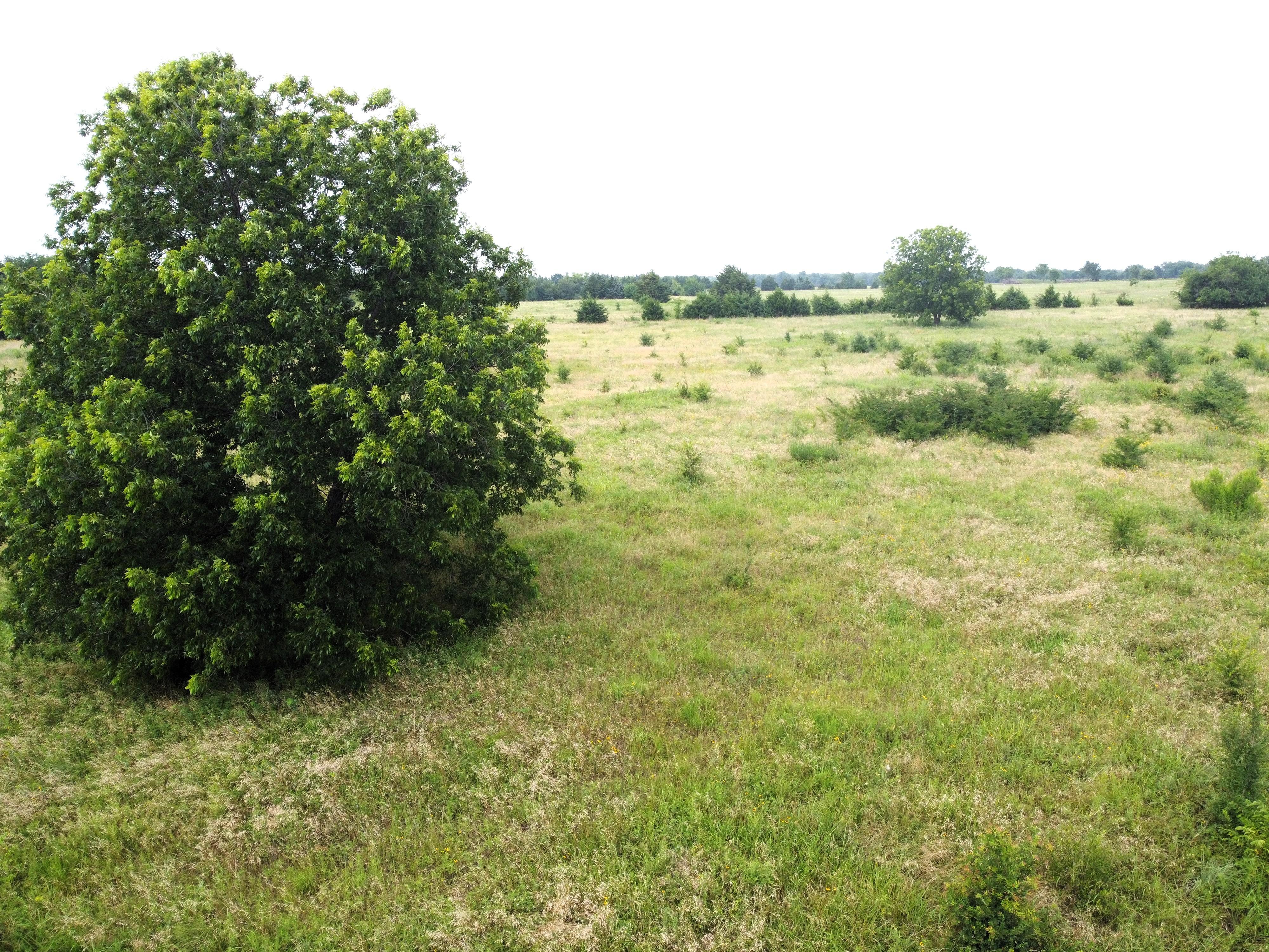 Property Image for Lot 6 CR 1400