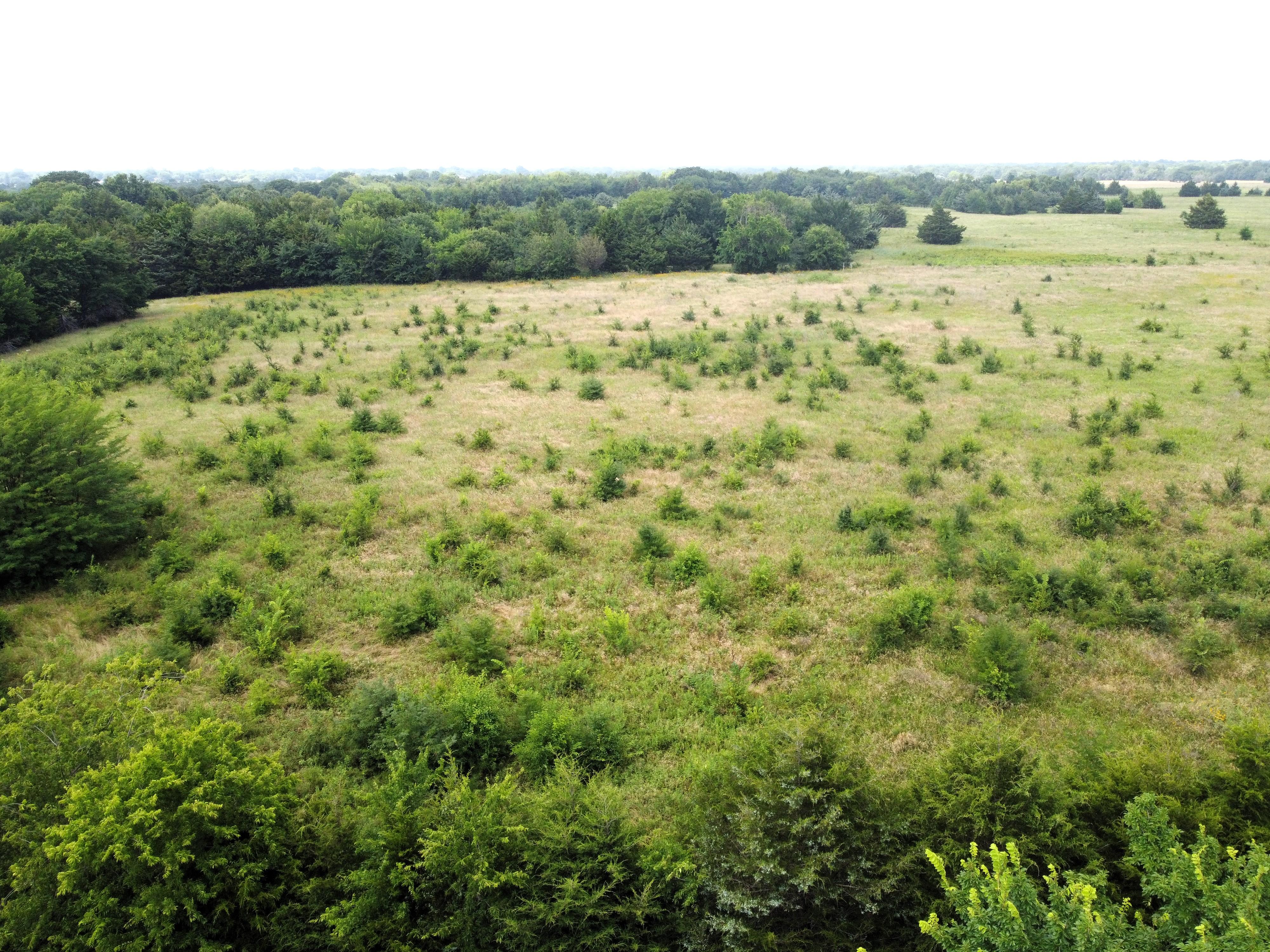 Property Image for Lot 4 CR 1400