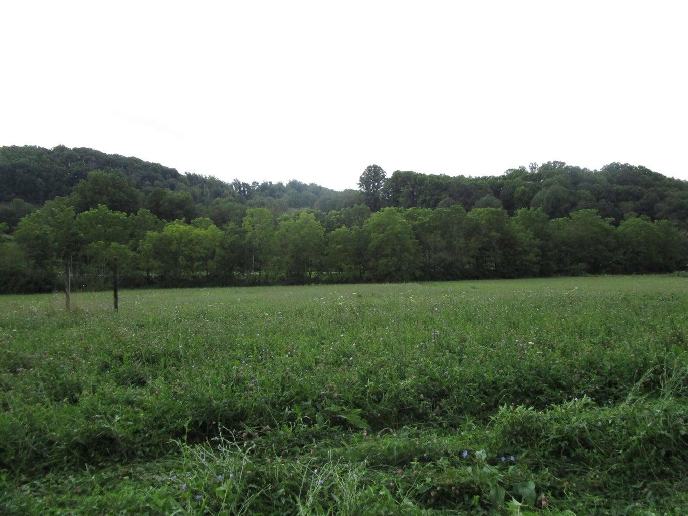 Property Image for TBD Buck Creek Road