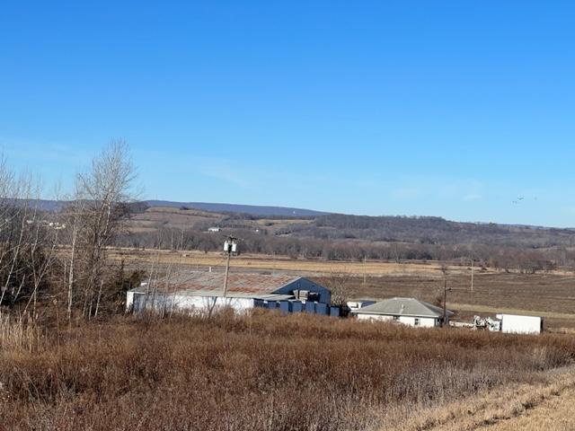 Property Image for 41 Bierstine Lane