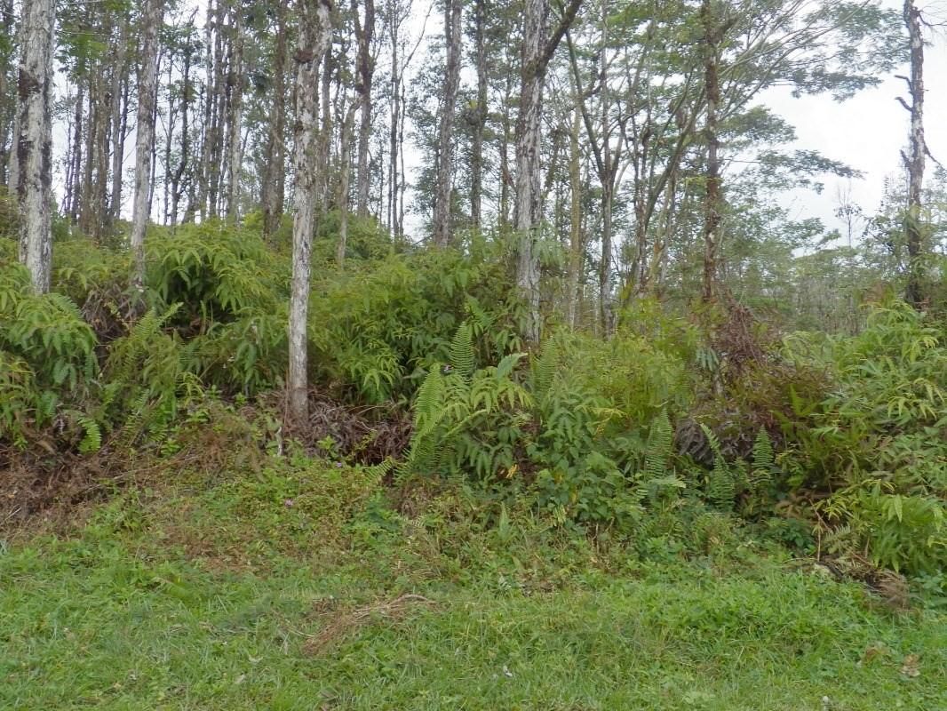 Property Image for Lanai Rd Lot 372