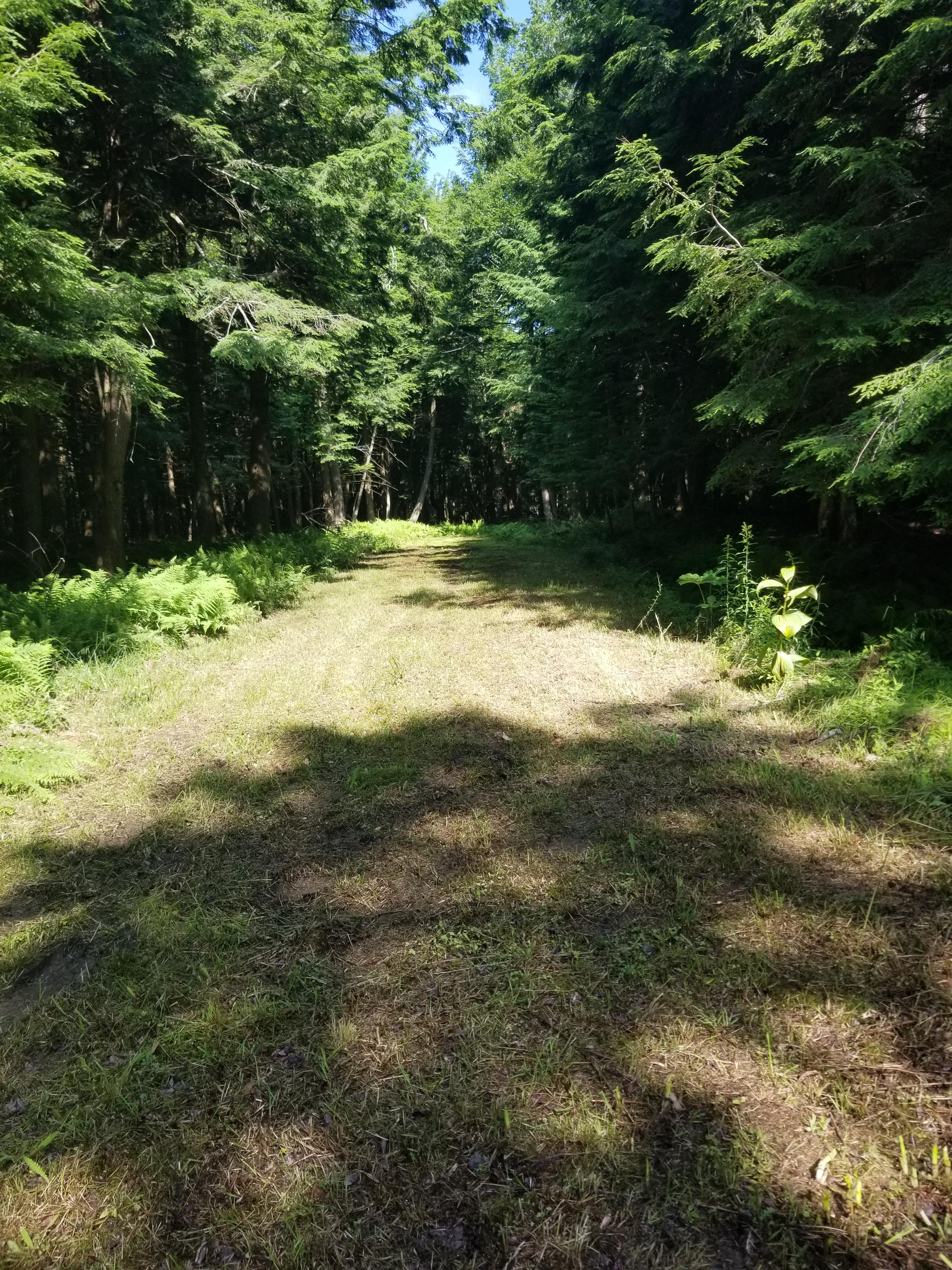 Property Image for Lot 28A Woodland Drive