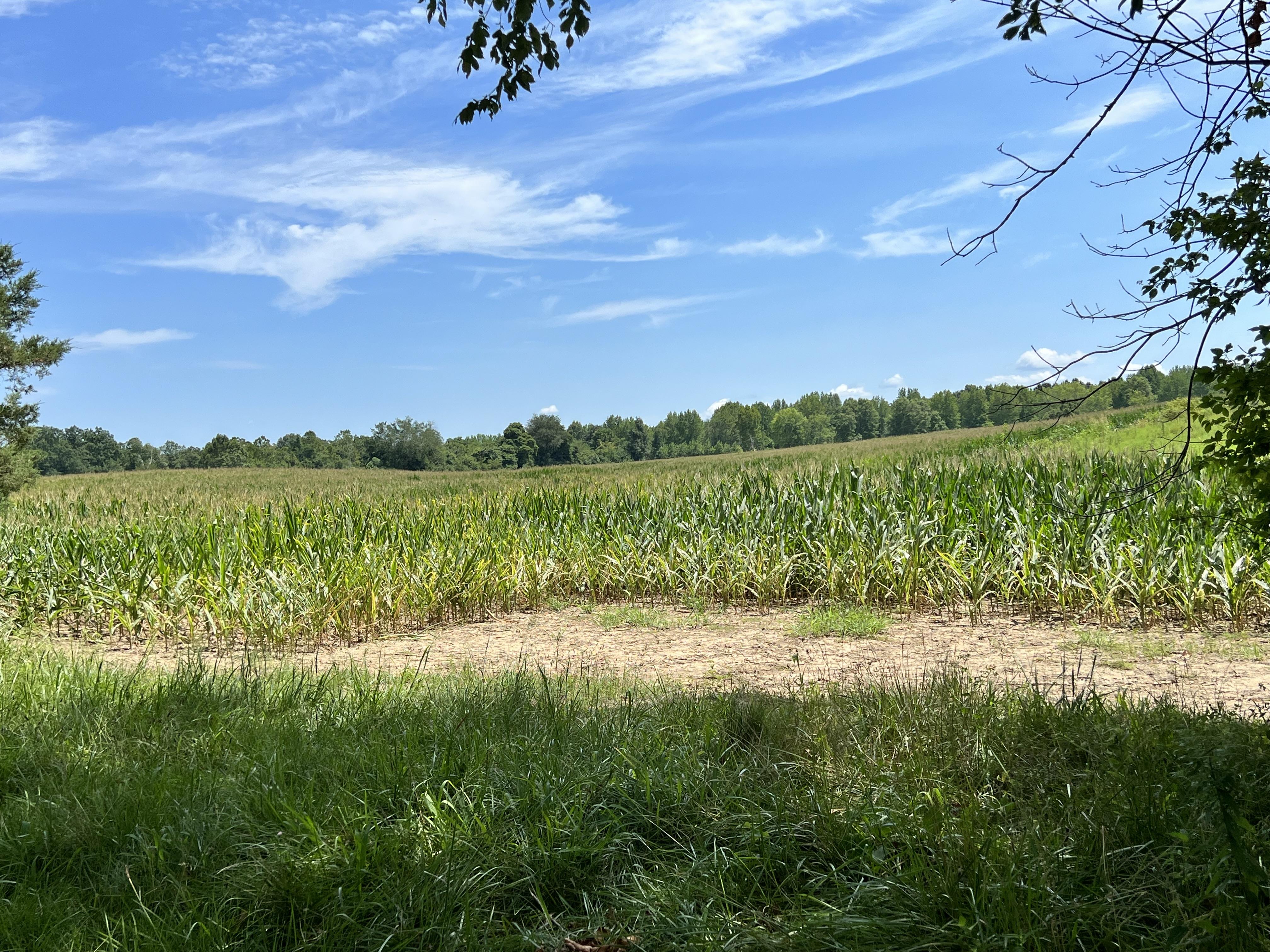 Property Image for 000 Arnold Lane