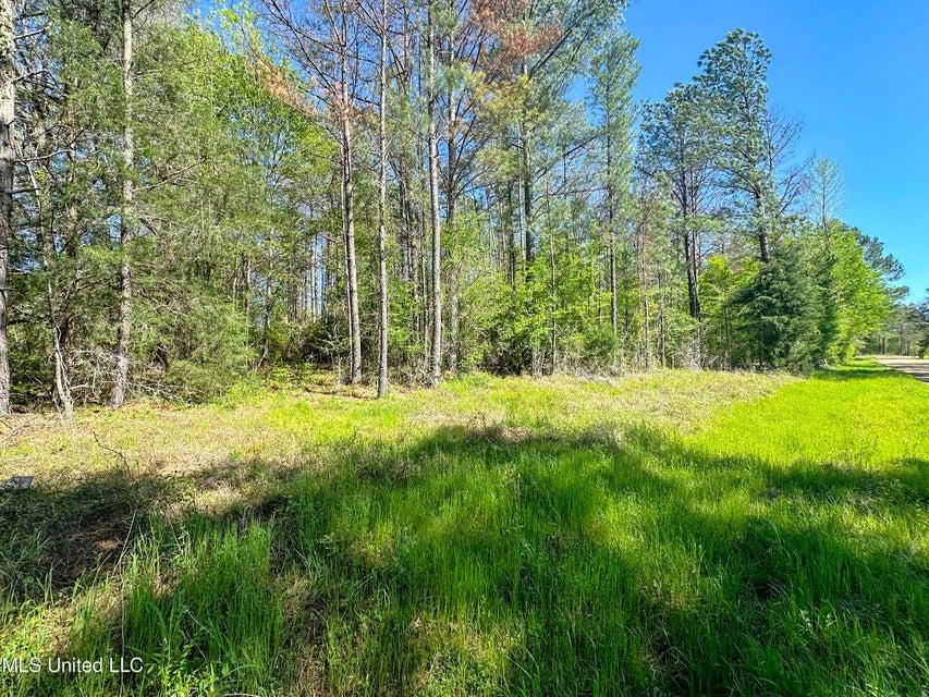 Property Image for Sleepy Hollow Road