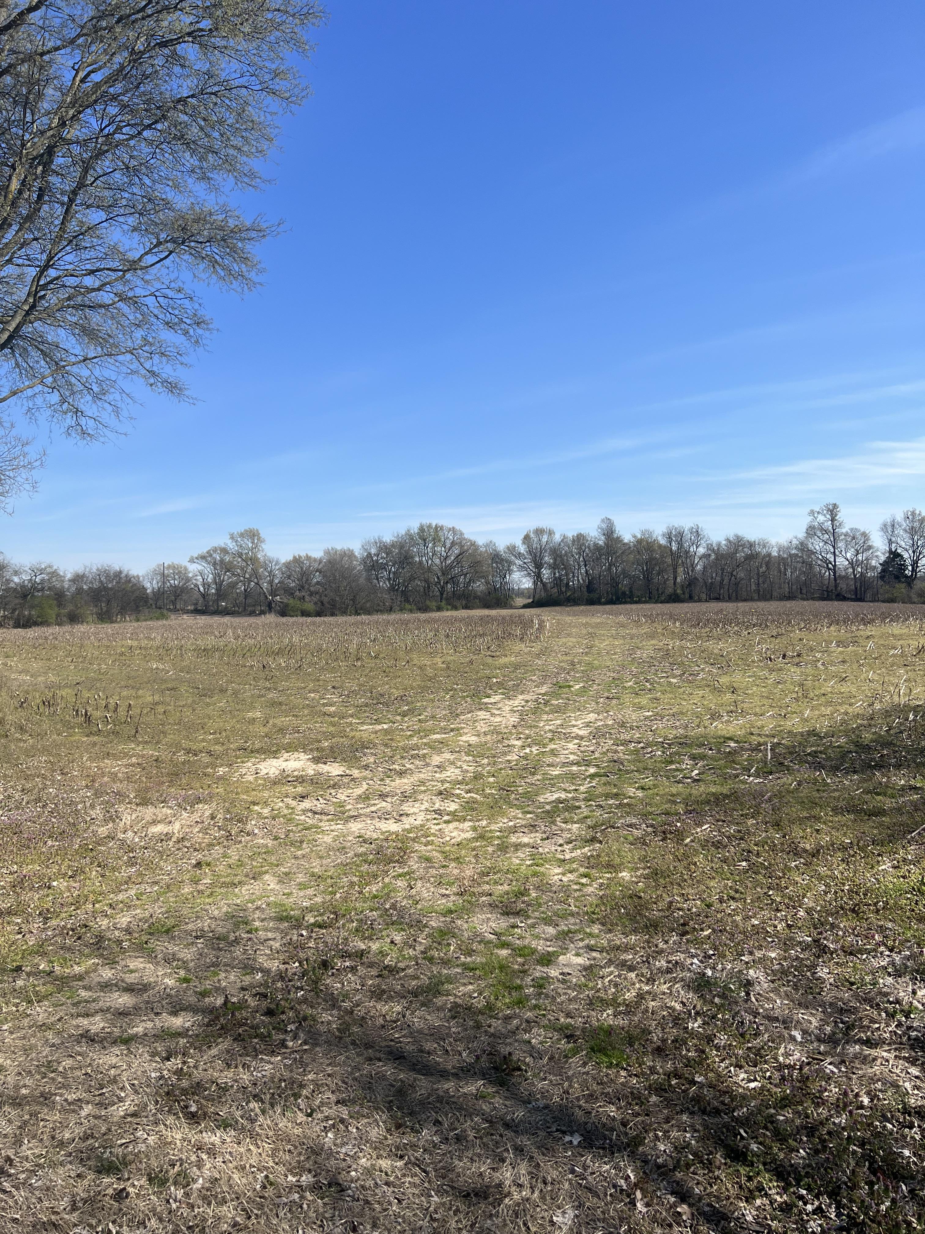 Property Image for 2028 Old Rives Rd