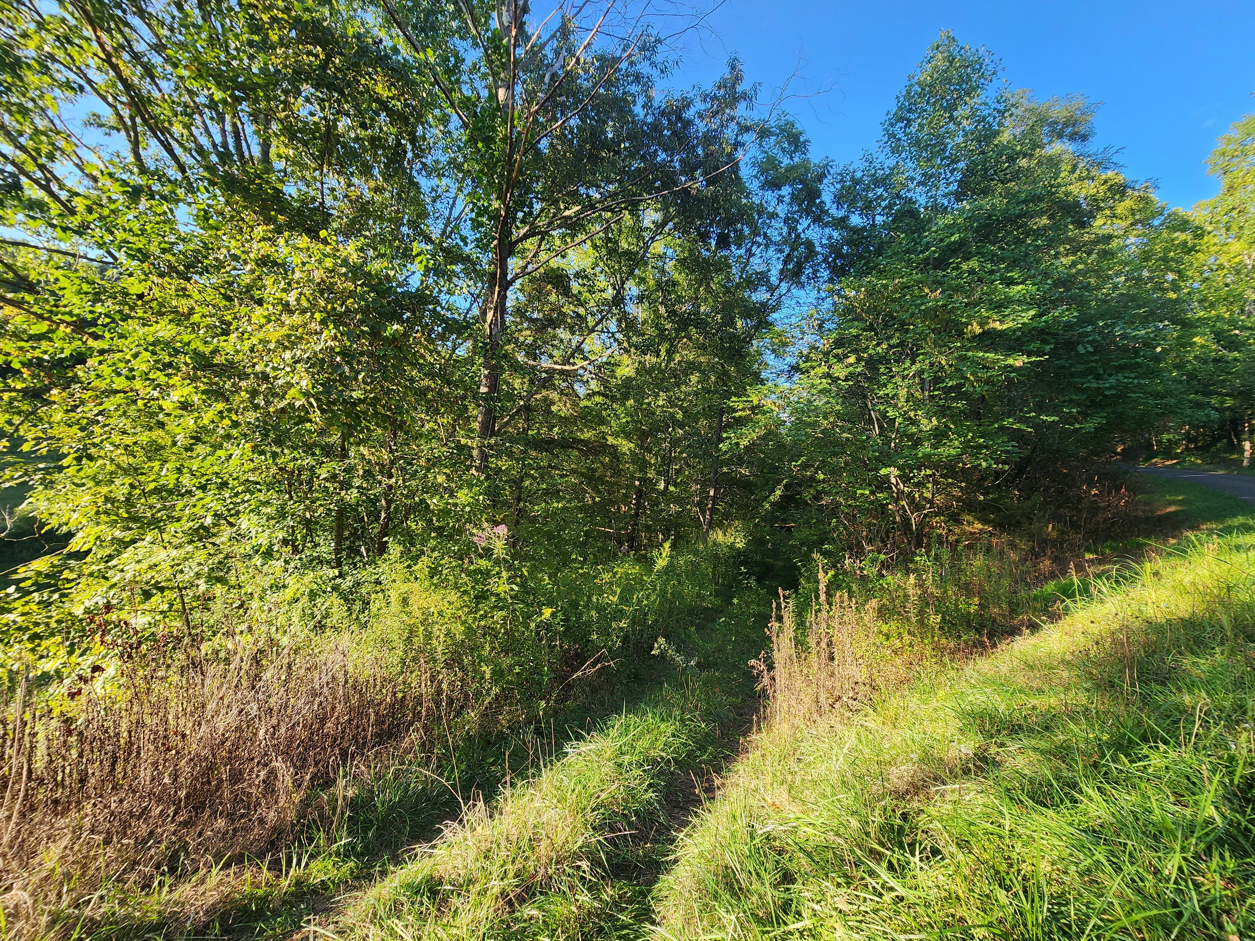 Property Image for Possum Hollow Rd