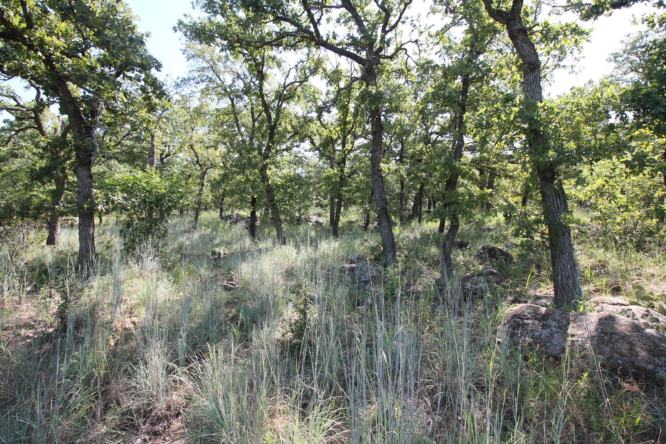 Property Image for Lot 265 Ridgeline