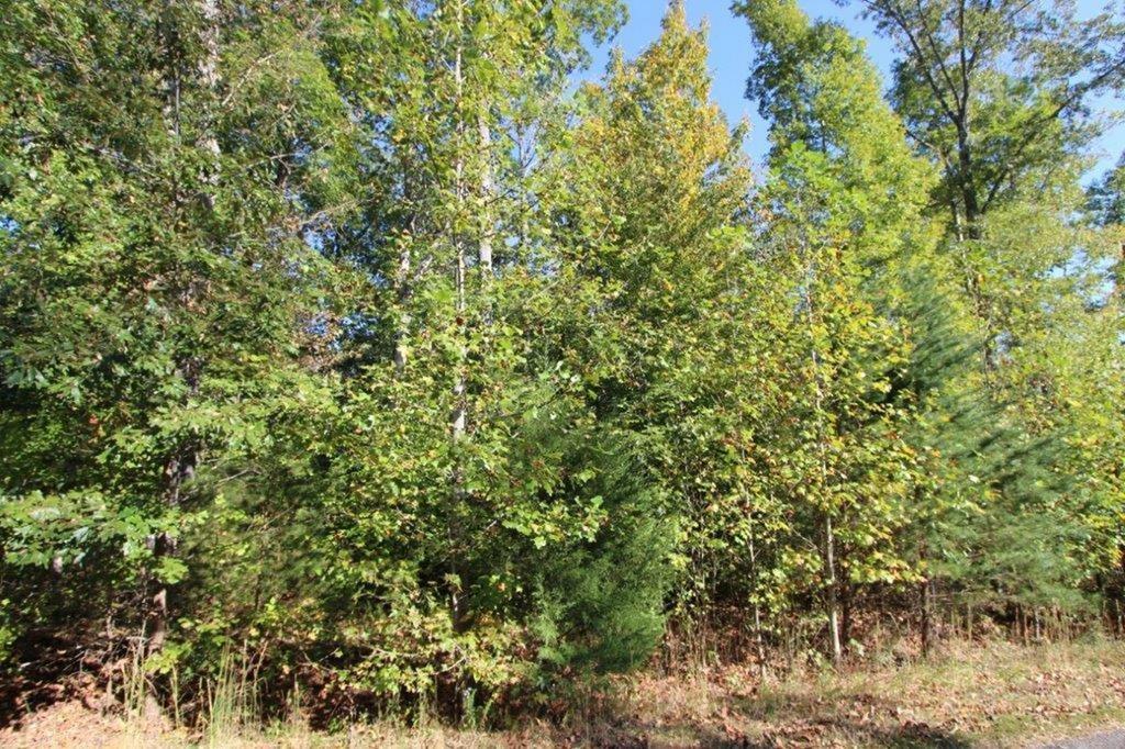 Property Image for Lot 6 Briarwood Drive