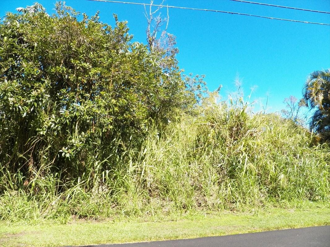 Property Image for Lot #783, S. Lai Street