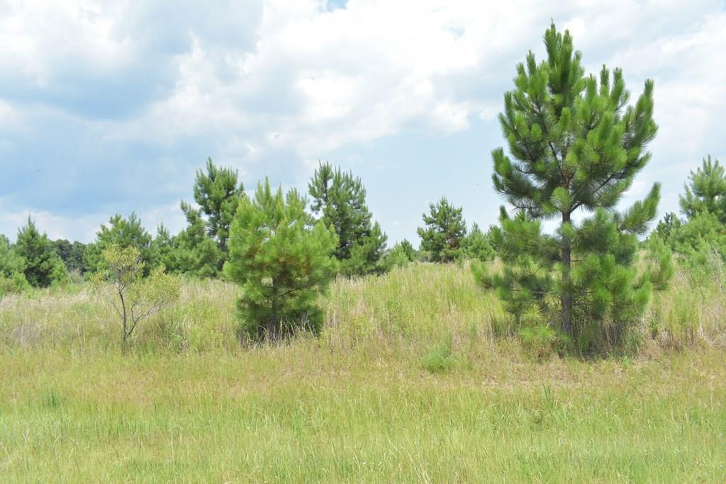 Property Image for Lot 42 Willow Oak Ln