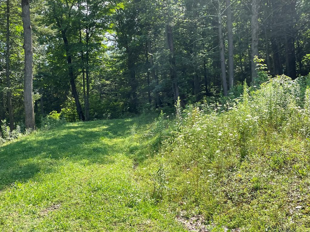 Property Image for Lot 43 Hemlock Hills Rd