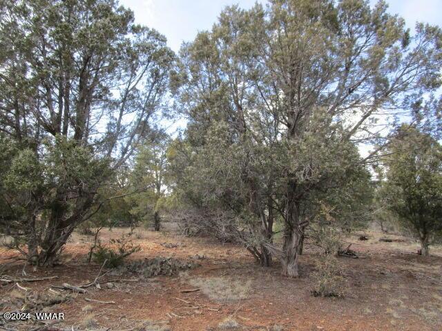 Property Image for TBD Elk Trail U