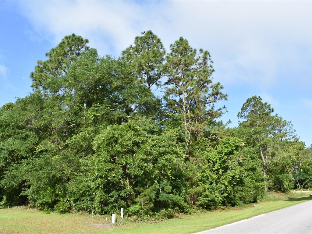 Property Image for Lot 14 Phillips Drive