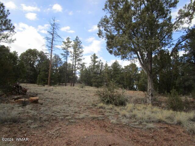 Property Image for TBD Elk Trail V