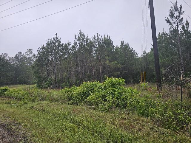 Property Image for TBD 79.99 ac CR 324 N