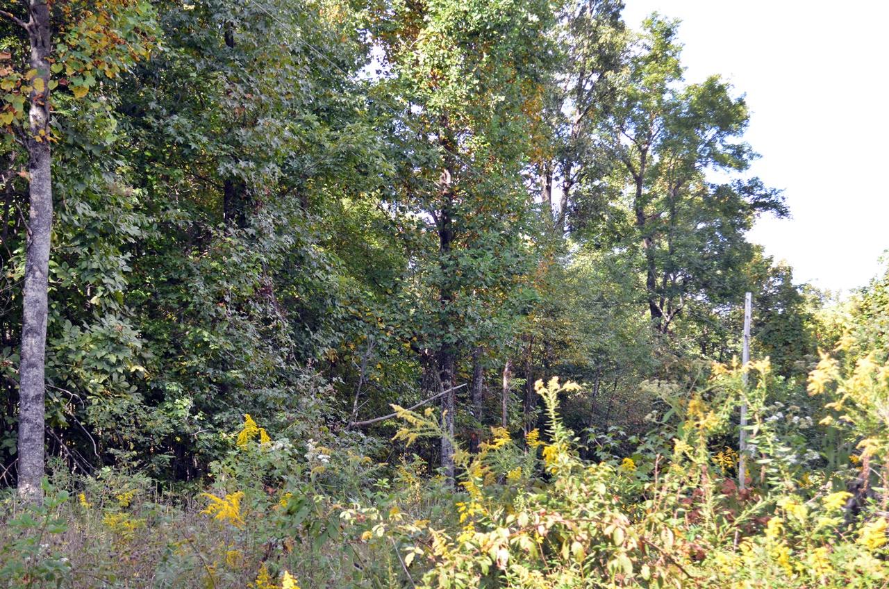 Property Image for Lot 16B Overlook Trail