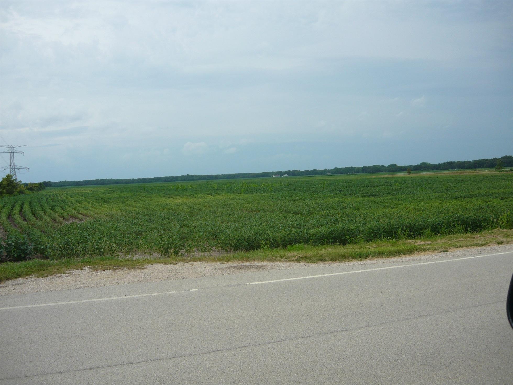 Property Image for 1065 Gorman Rd., Lot 4