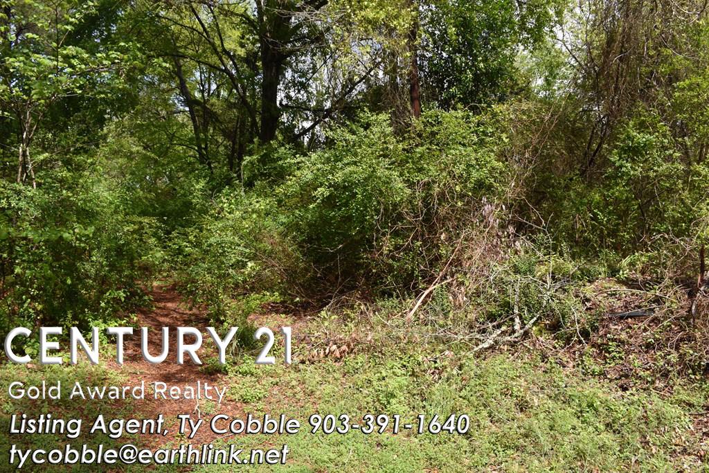 Property Image for 1409 Calhoun