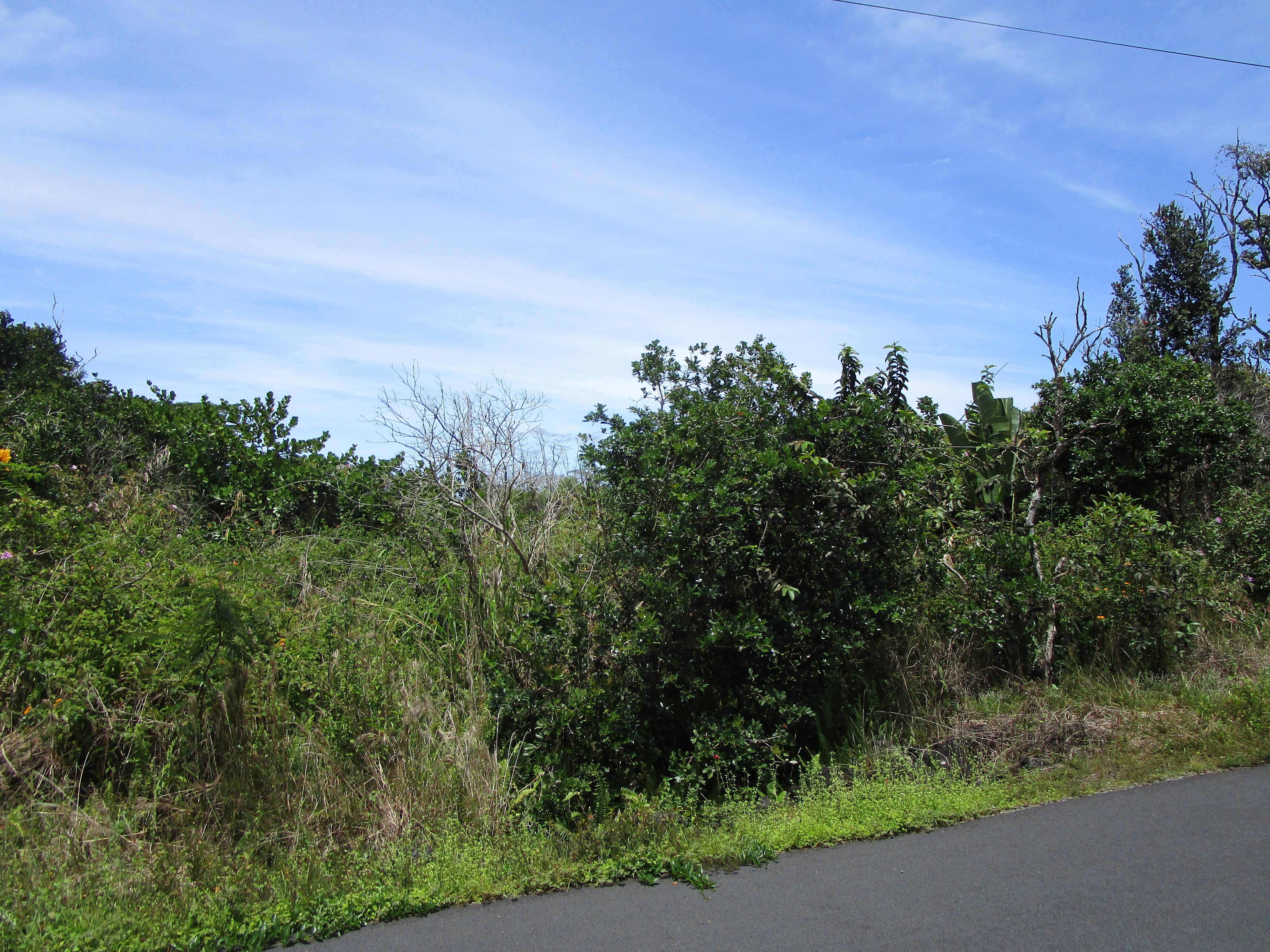 Property Image for Lot 1175, 6th Ave.