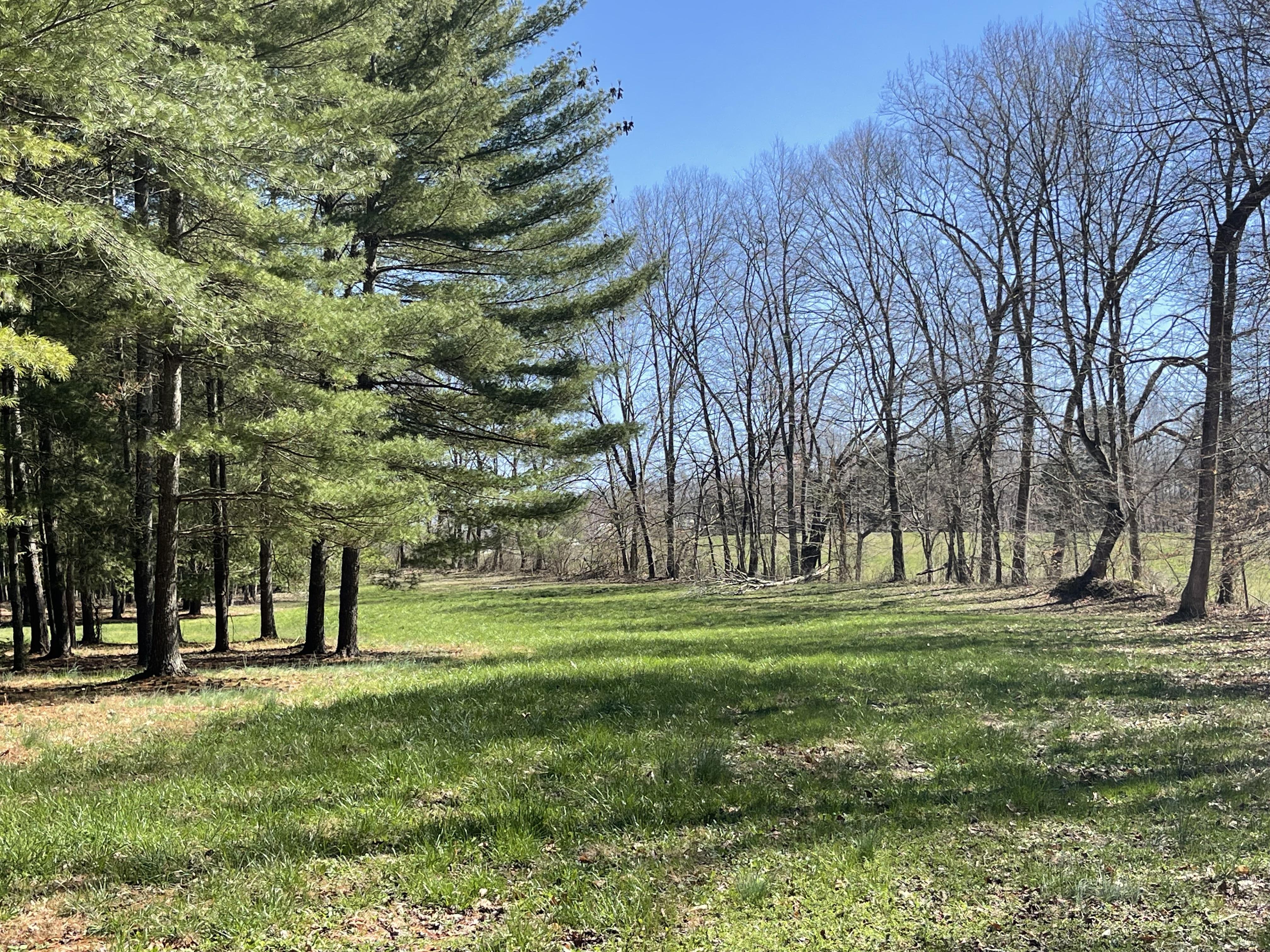 Property Image for Lot 66 Edgewater