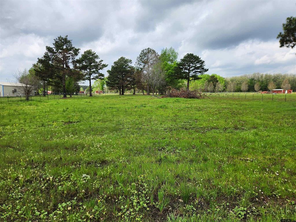 Property Image for TBD Lot #5 County Road 4202