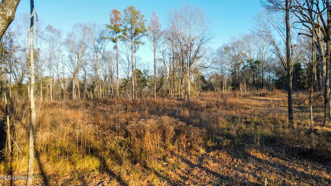 Property Image for 5370 Clinton-Tinnin Road Lot 9