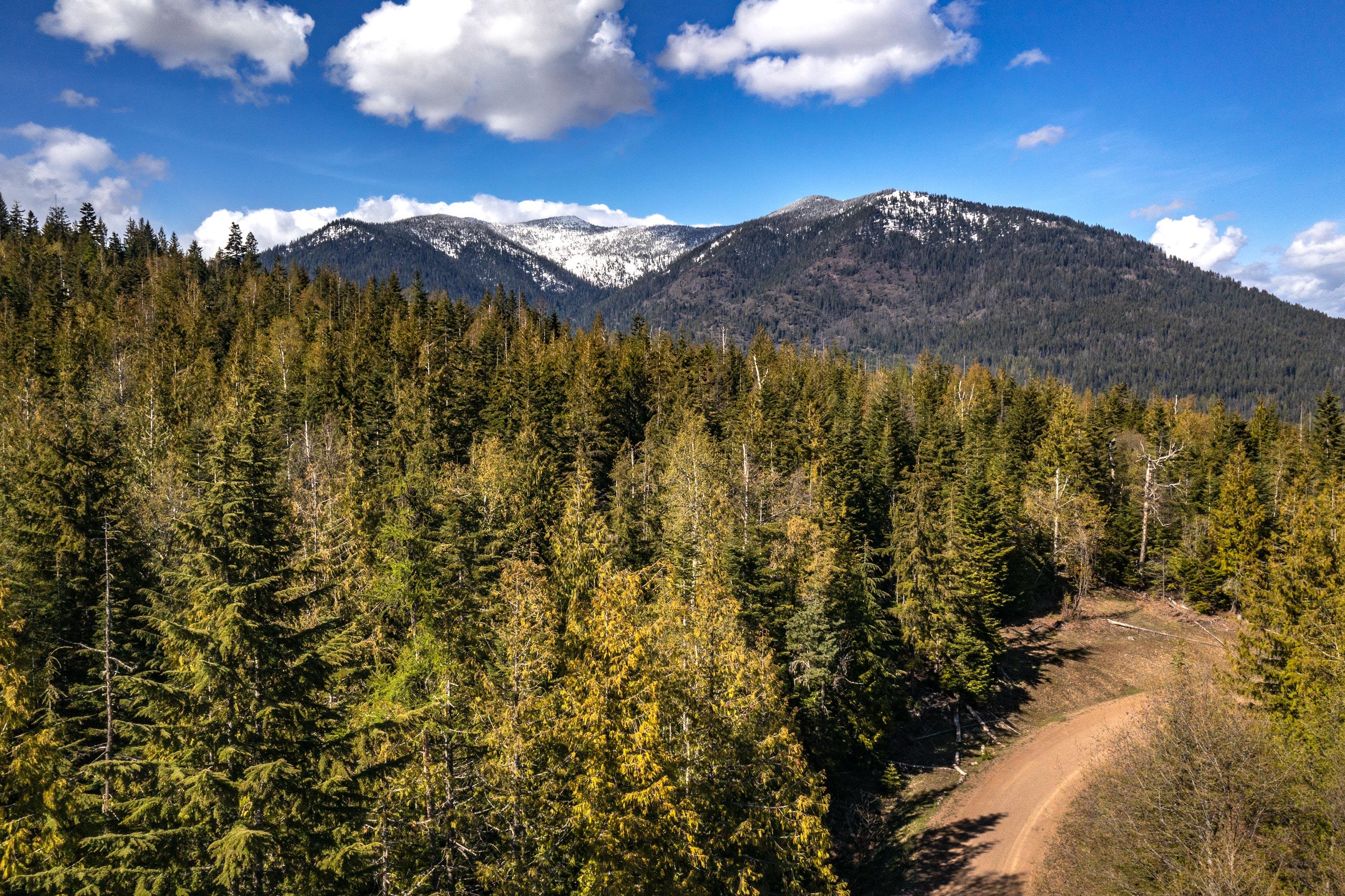 Property Image for NNA Sled Run Trail