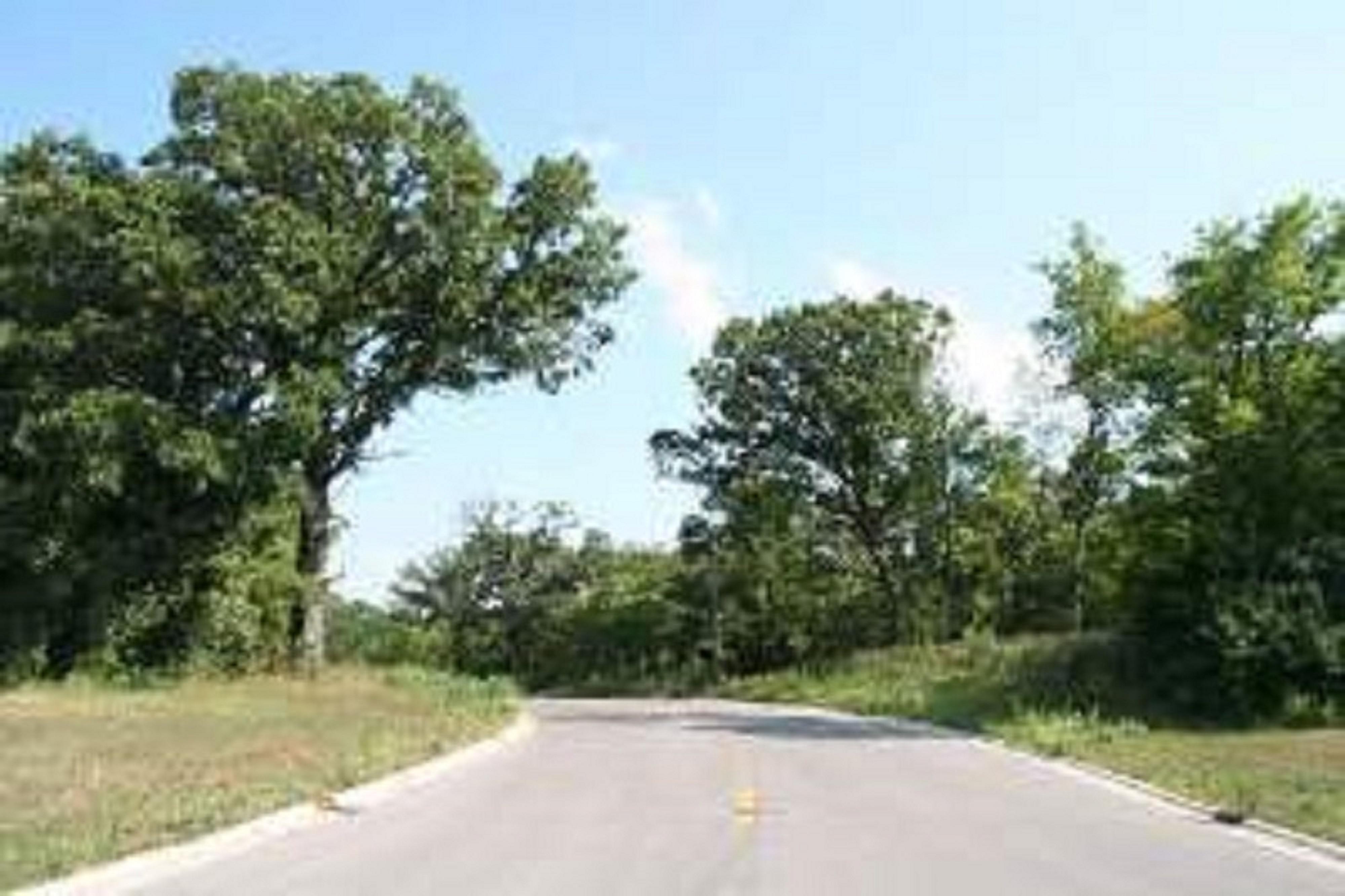 Property Image for 957 Thomas Dr., Lot 5