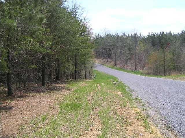 Property Image for 302 Trail Of Tears Rd