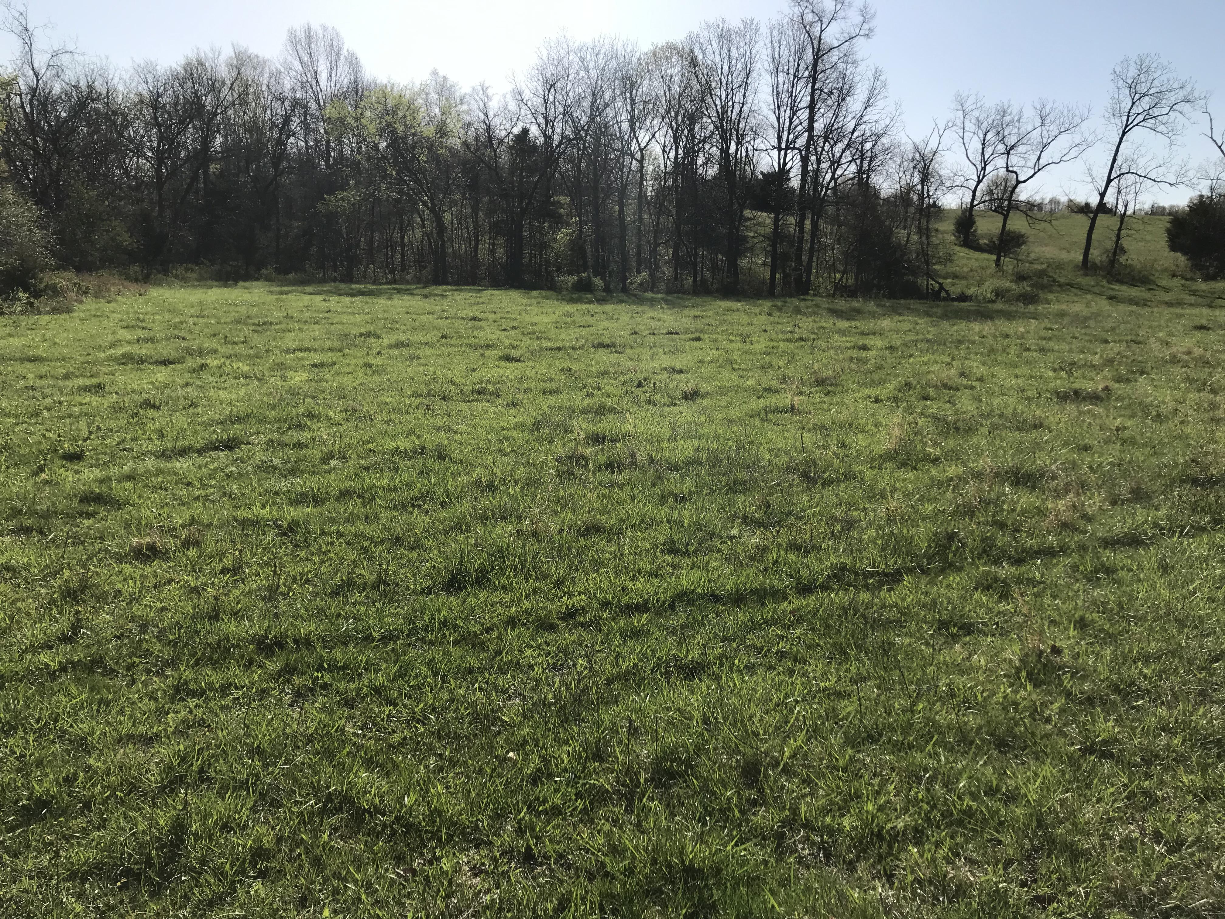 Property Image for County Road 6495