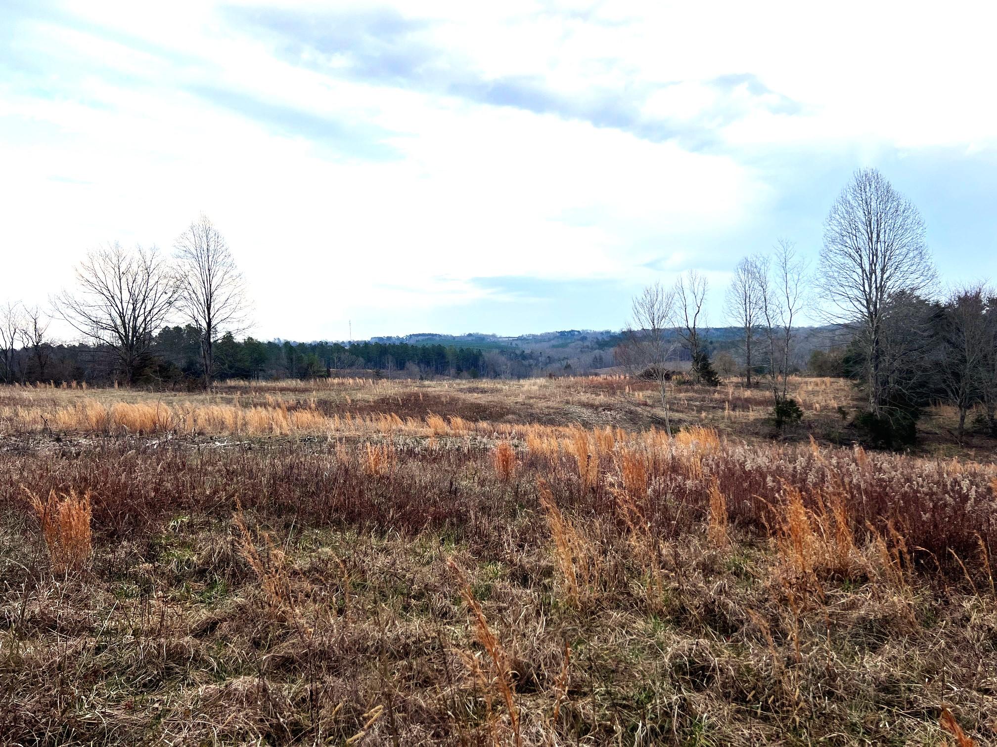 Property Image for Hat Creek Road