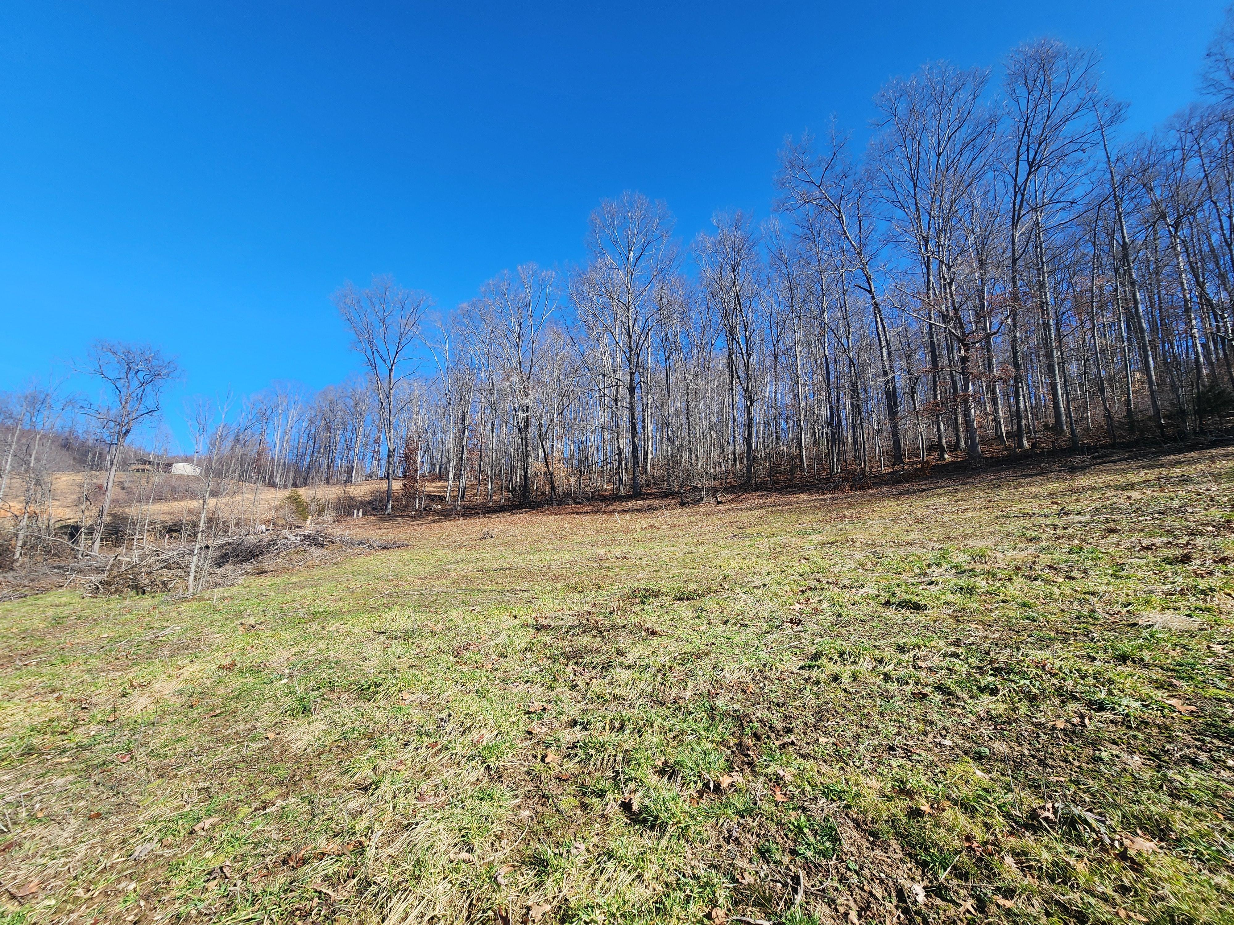 Property Image for Tract 1 Dooley Hollow Rd