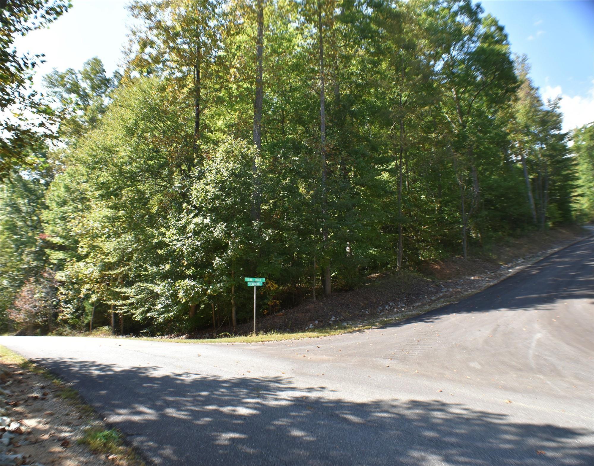 Property Image for TBD Trail Ridge Drive