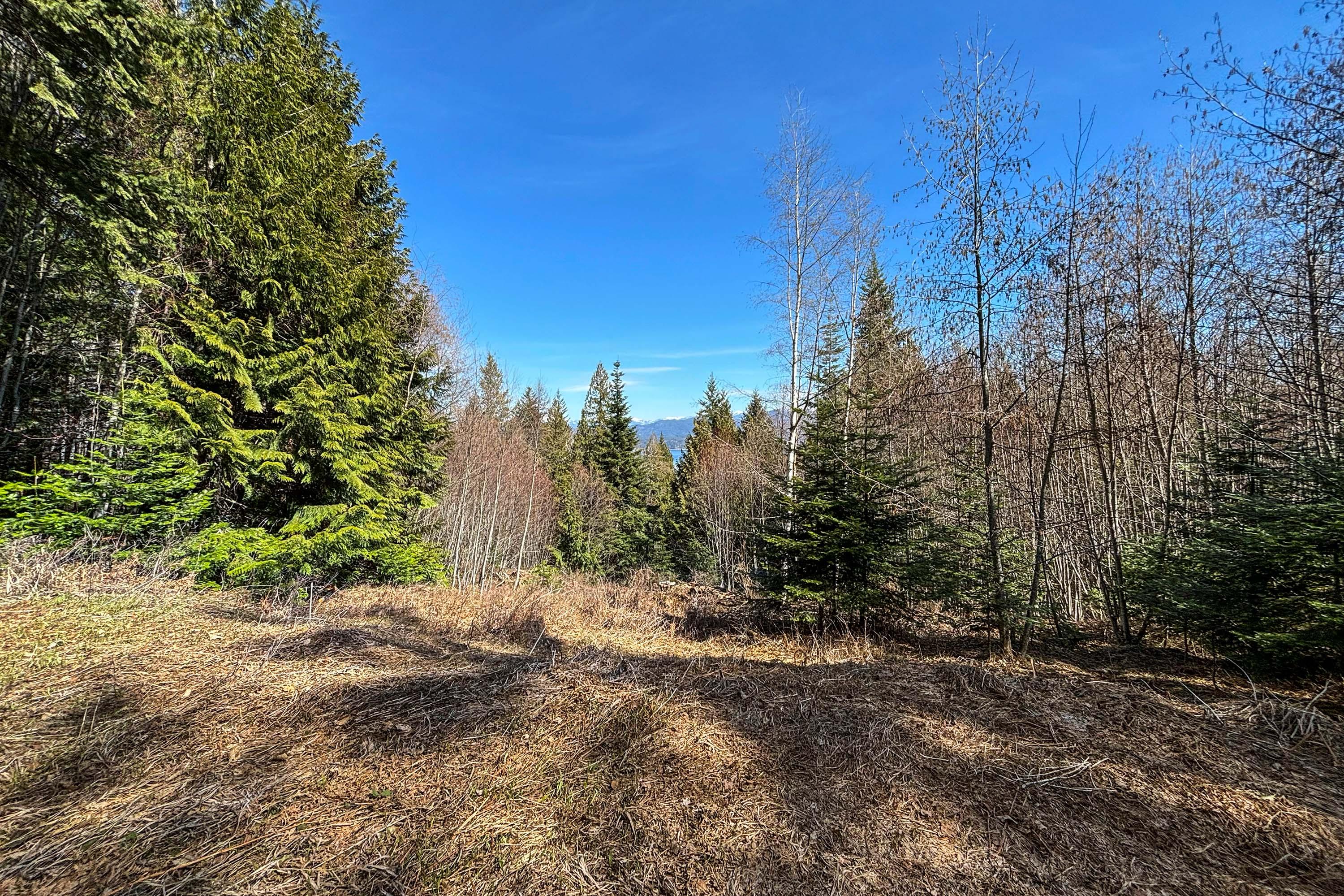 Property Image for Lot 4B Moonbeam Road