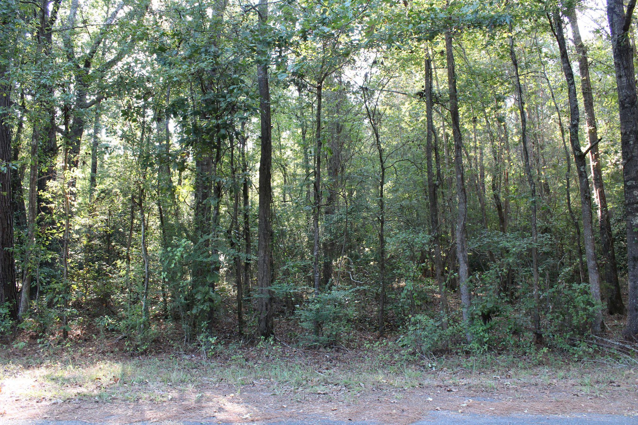 Property Image for 0 Peachtree Road