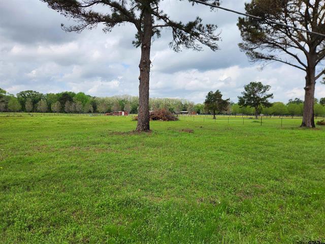 Property Image for TBD Lot #4 County Road 4202