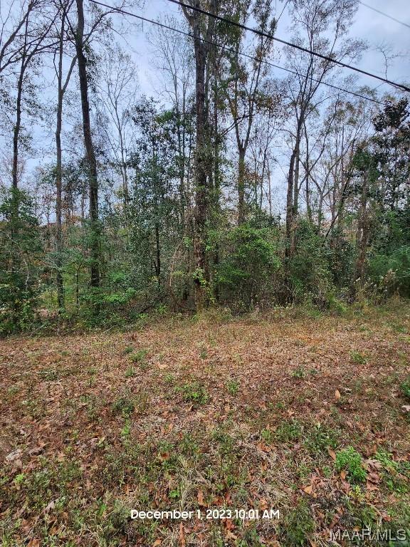 Property Image for 0 County Road 158 Lot 11