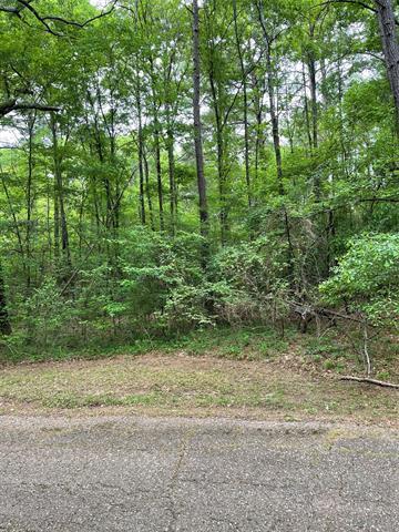 Property Image for Noxubee Drive LOT 30