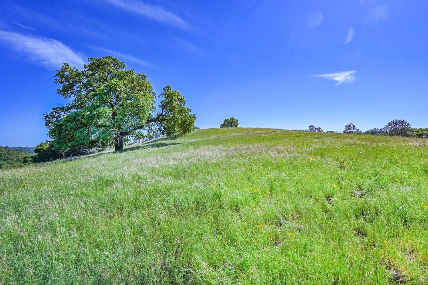 Property Image for 2000 State Highway 193