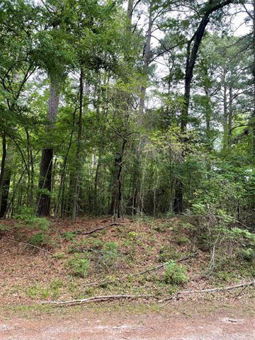 Property Image for Noxubee Drive LOT 32