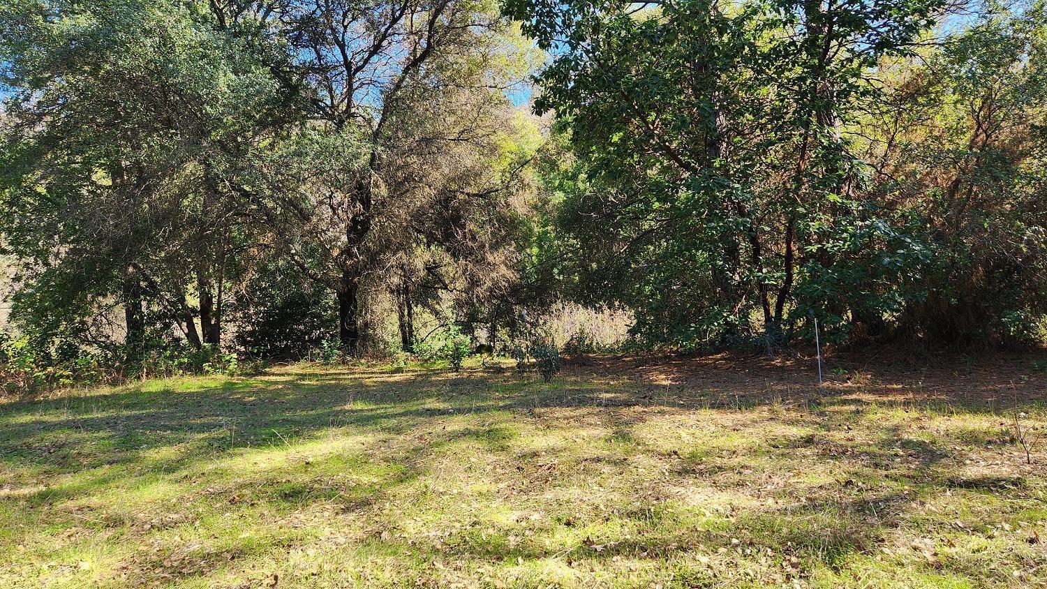 Property Image for 14550 Merriam Road