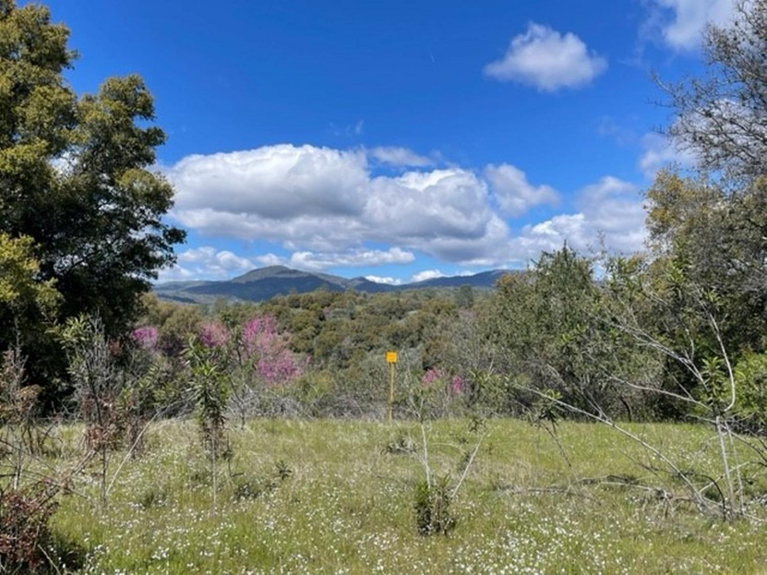 Property Image for Two Hills Road 77.73 AC