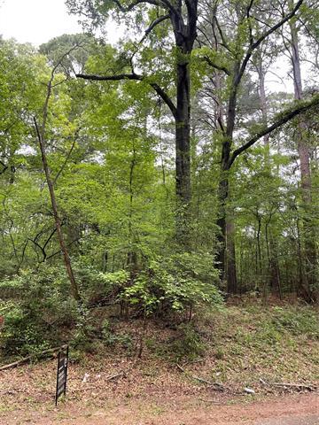 Property Image for Noxubee Drive LOT 31