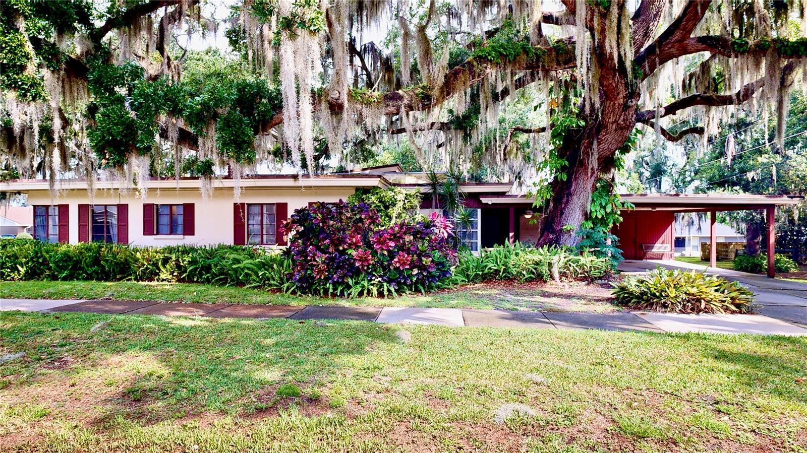 Property Image for 627 Palm Drive