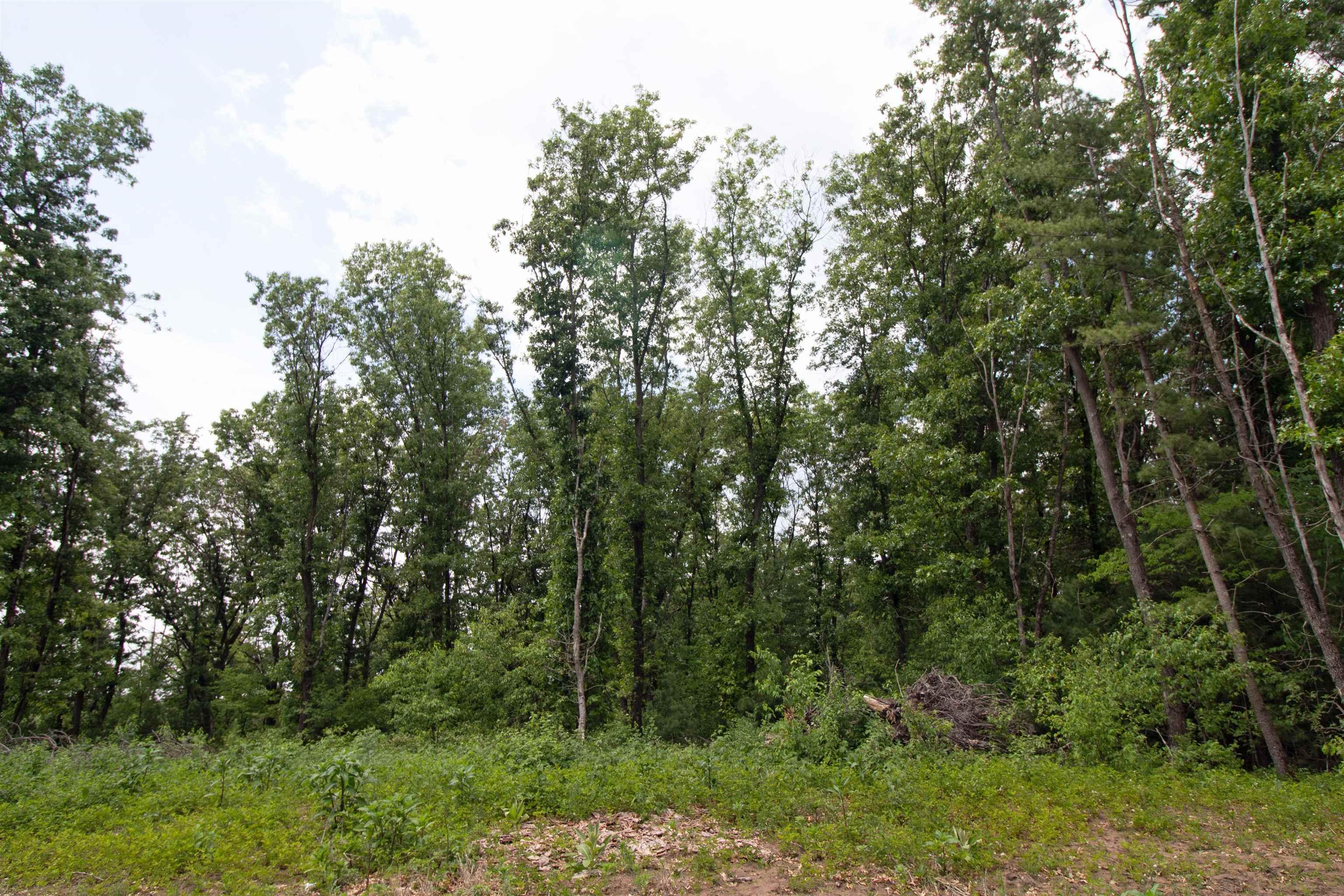 Property Image for Lot13 Spruce