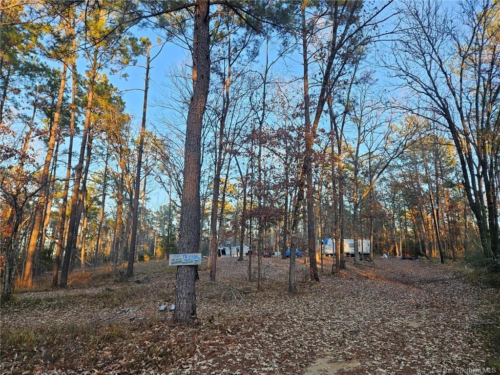 Property Image for 170 High Bluff Lane