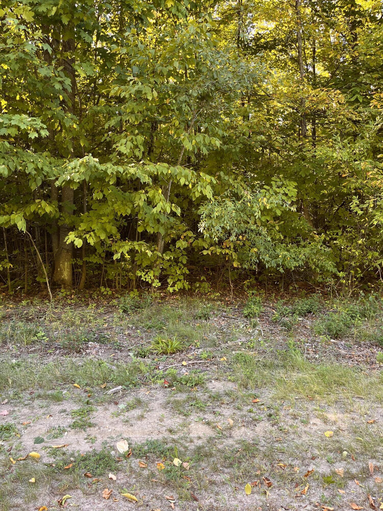 Property Image for Deerfield Drive , Lot 4