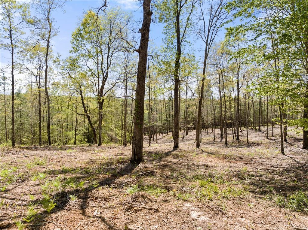 Property Image for 4 Mill Creek Road