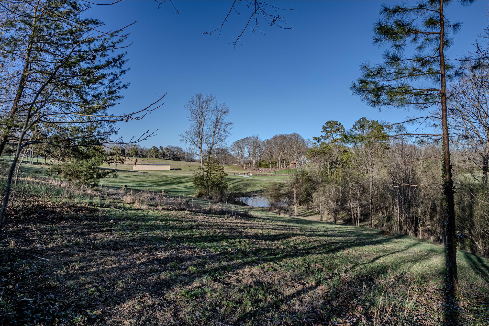 Property Image for 00 County Road 728