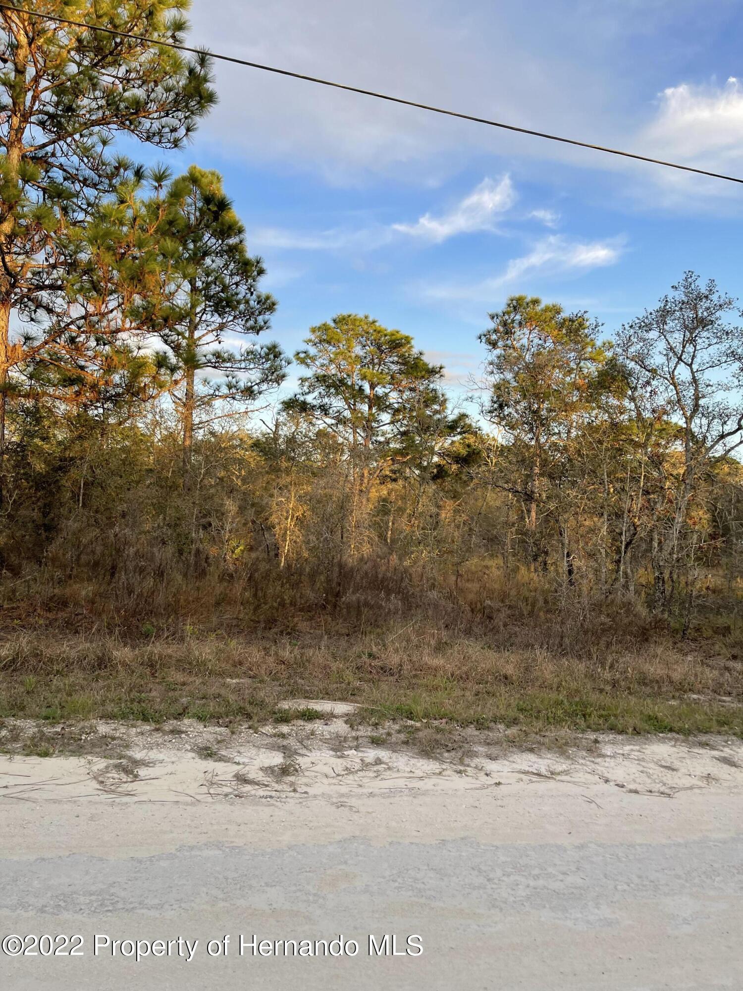 Property Image for 0 Everglades Kite